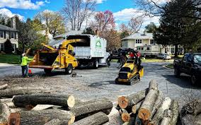 Best Commercial Tree Services  in Leon Valley, TX