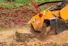 Best Soil Testing and Treatment  in Leon Valley, TX